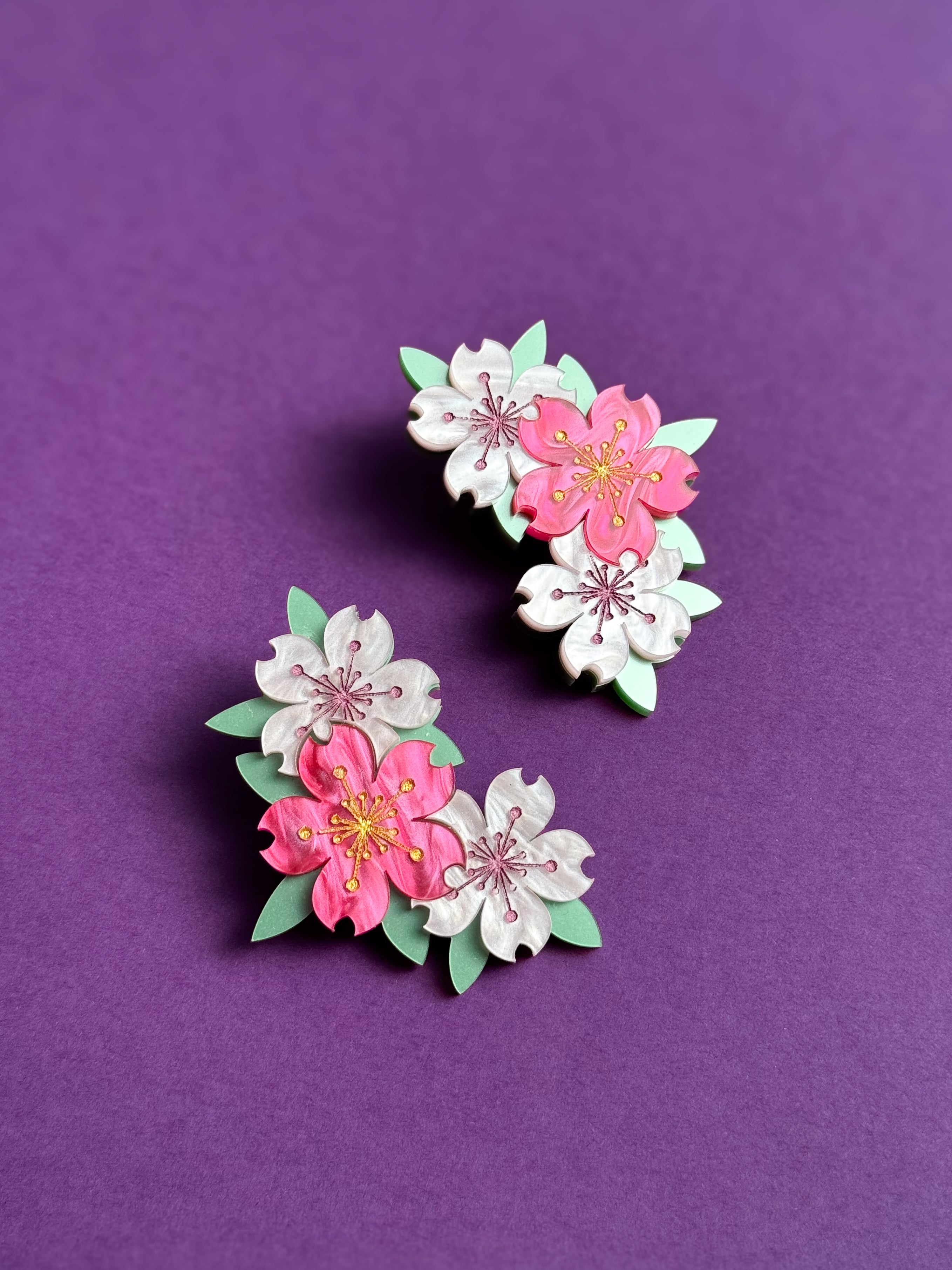 SAKURA Dilatación